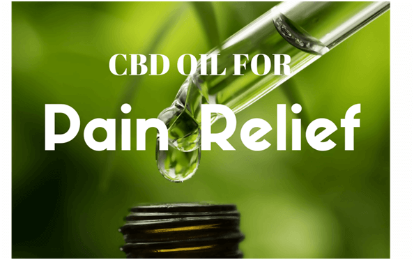 Vital information to consider when acquiring CBD products